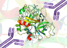 5 ขั้นตอนสู่ผลลัพธ์ของ ELISA ที่เที่ยงตรง
