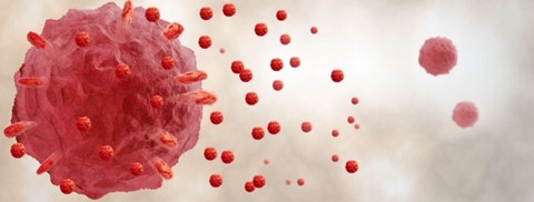 Exosomes & Extracellular Vesicles Detection with Flow Cytometry