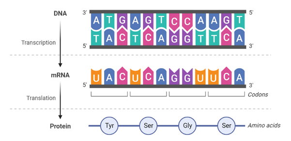 DNA Microarray technology & Applications