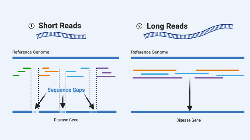 ความแตกต่างระหว่าง Short-read และ Long-read ของเทคโนโลยี Next  Generation Sequencing (NGS)