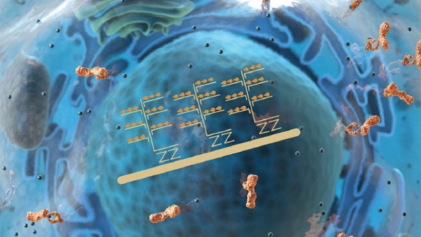 RNA Analysis using Flow Cytometry