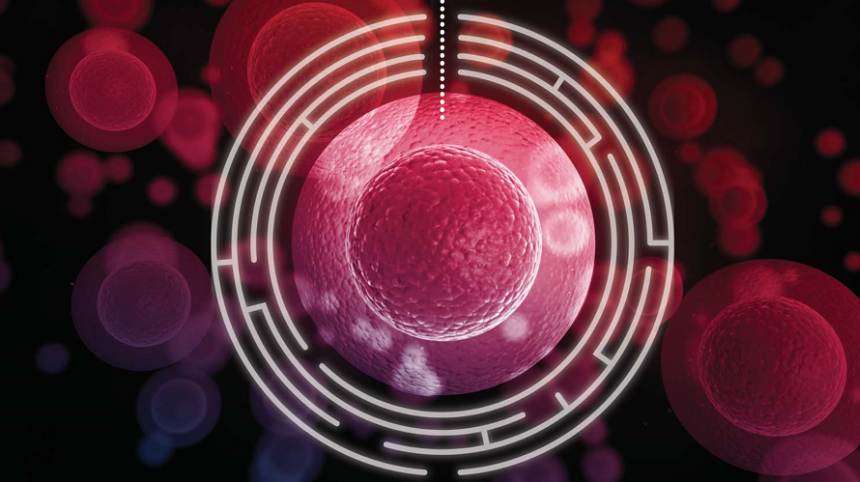 เทคนิคและเคล็ดลับในงาน Transfection
