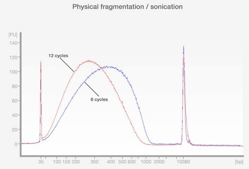 เทคนิคการทำ DNA fragmentation สำหรับการเตรียม Library NGS