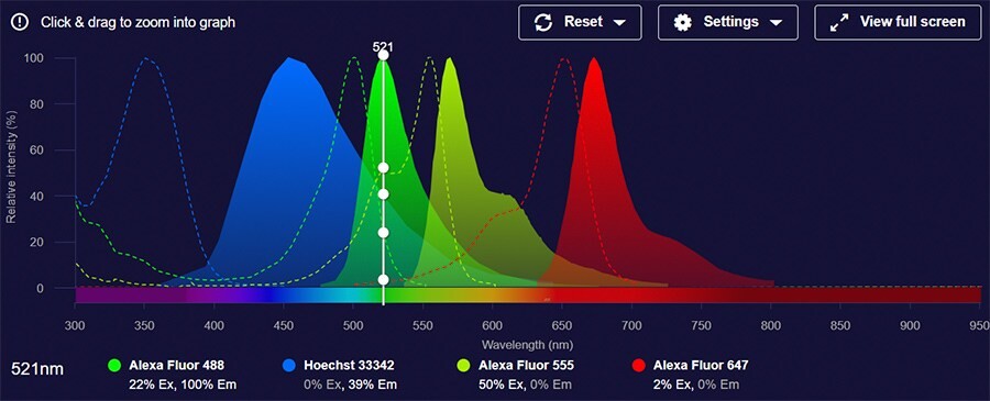 การเลือกสี Fluorescence อย่างไรให้งาน Flow Cytometry ไม่ยุ่งยากด้วยโปรแกรมเปรียบเทียบสเปกตรัมของ Thermo Fisher Scientific