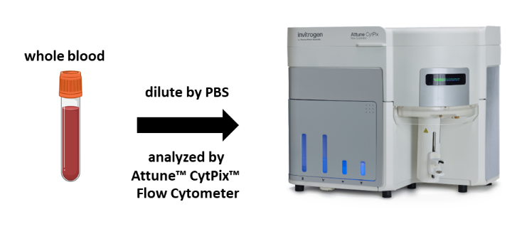 การวิเคราะห์เซลล์เม็ดเลือดขาวจากตัวอย่าง whole blood โดยไม่ต้องแตกและล้าง (No-Wash-No-Lysed) เซลล์เม็ดเลือดแดง ด้วยเครื่อง Attune™ CytPix™ Flow Cytometer