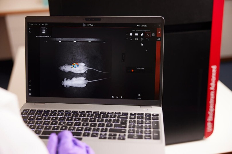 การใช้ Bioluminescence ในสัตว์ทดลอง