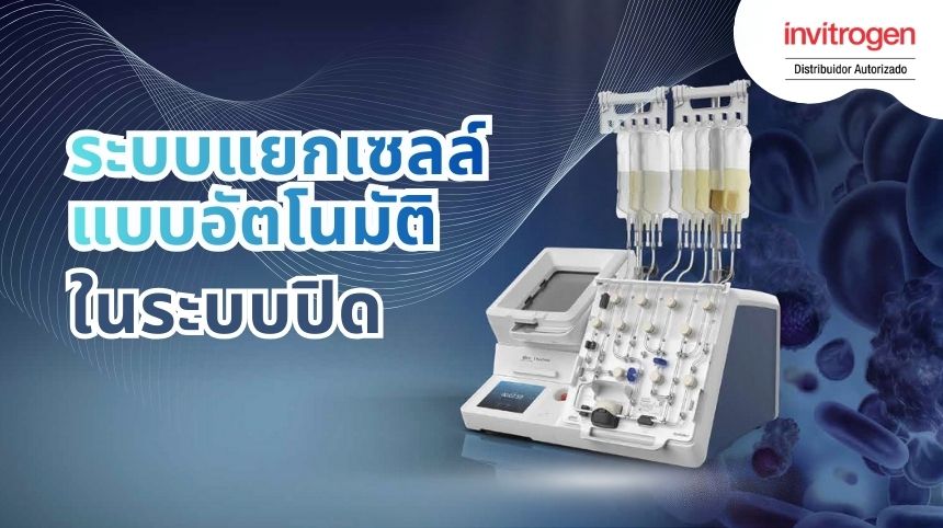 ระบบแยกเซลล์แบบอัตโนมัติในระบบปิด สำหรับงานด้านเซลล์บำบัด: Gibco CTS DynaCellect