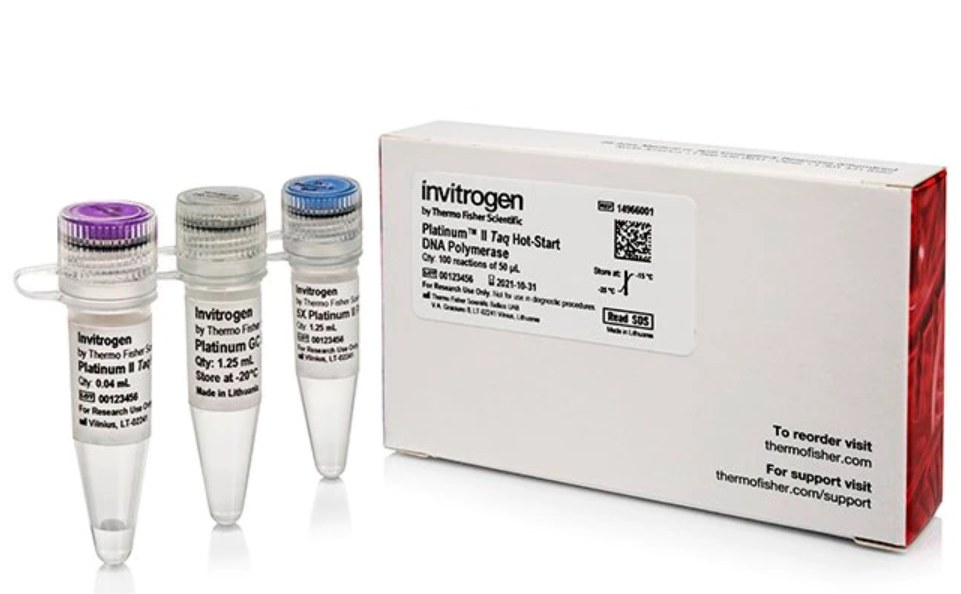 Platinum™ II Taq Hot-Start DNA Polymerase