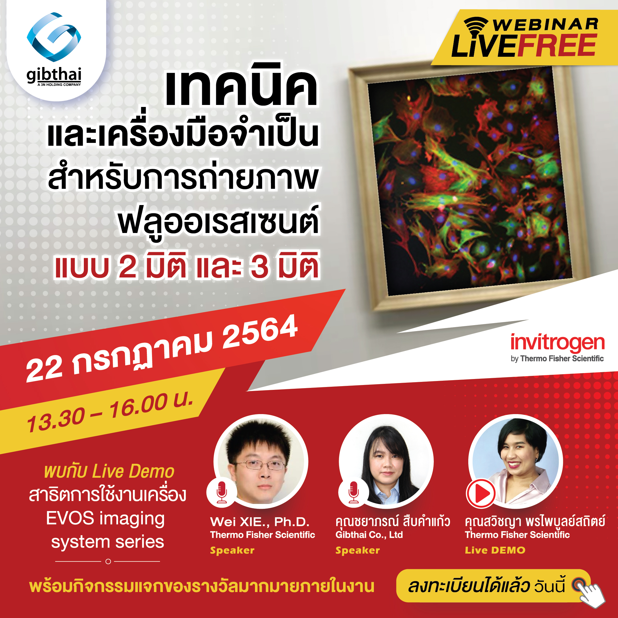 เทคนิคและเครื่องมือที่ช่วยในการถ่ายภาพฟลูออเรสเซนต์แบบ 2 มิติ และ 3 มิติ (Essential tools for fluorescence microscopy and labeling in 2D and 3D model)