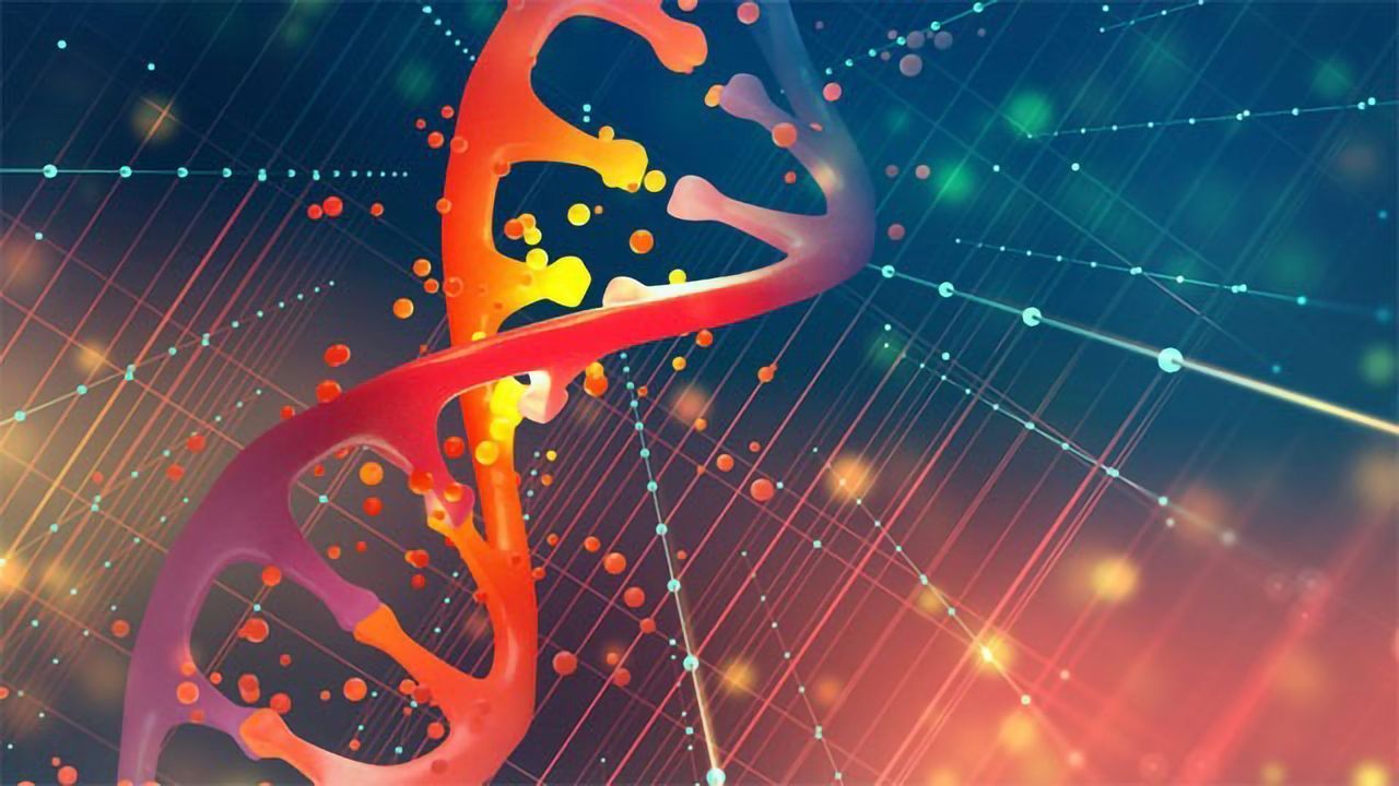 GeneArt FAQs-คำถามที่พบบ่อยในบริการสังเคราะห์ยีน