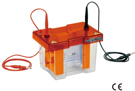 การวิเคราะห์หาโปรตีนโดยเทคนิค SDS PAGE